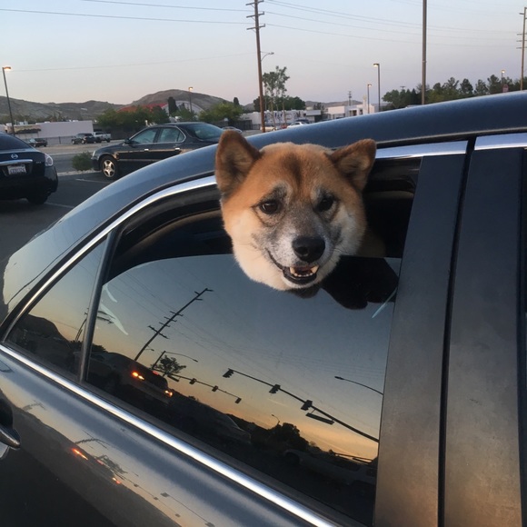 Meet your Posher, Karla - Picture 4 of 5